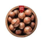 مغز ماکادمیا