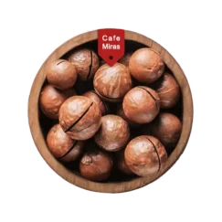 مغز ماکادمیا