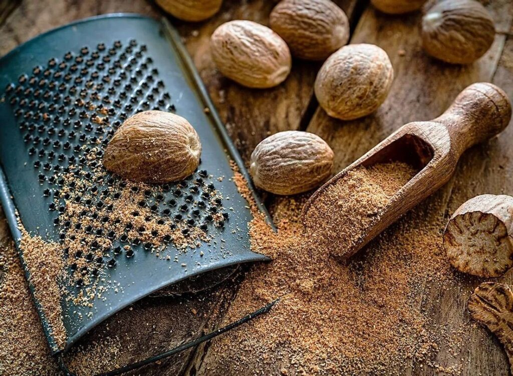 جوز بویا