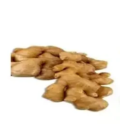 جدوا